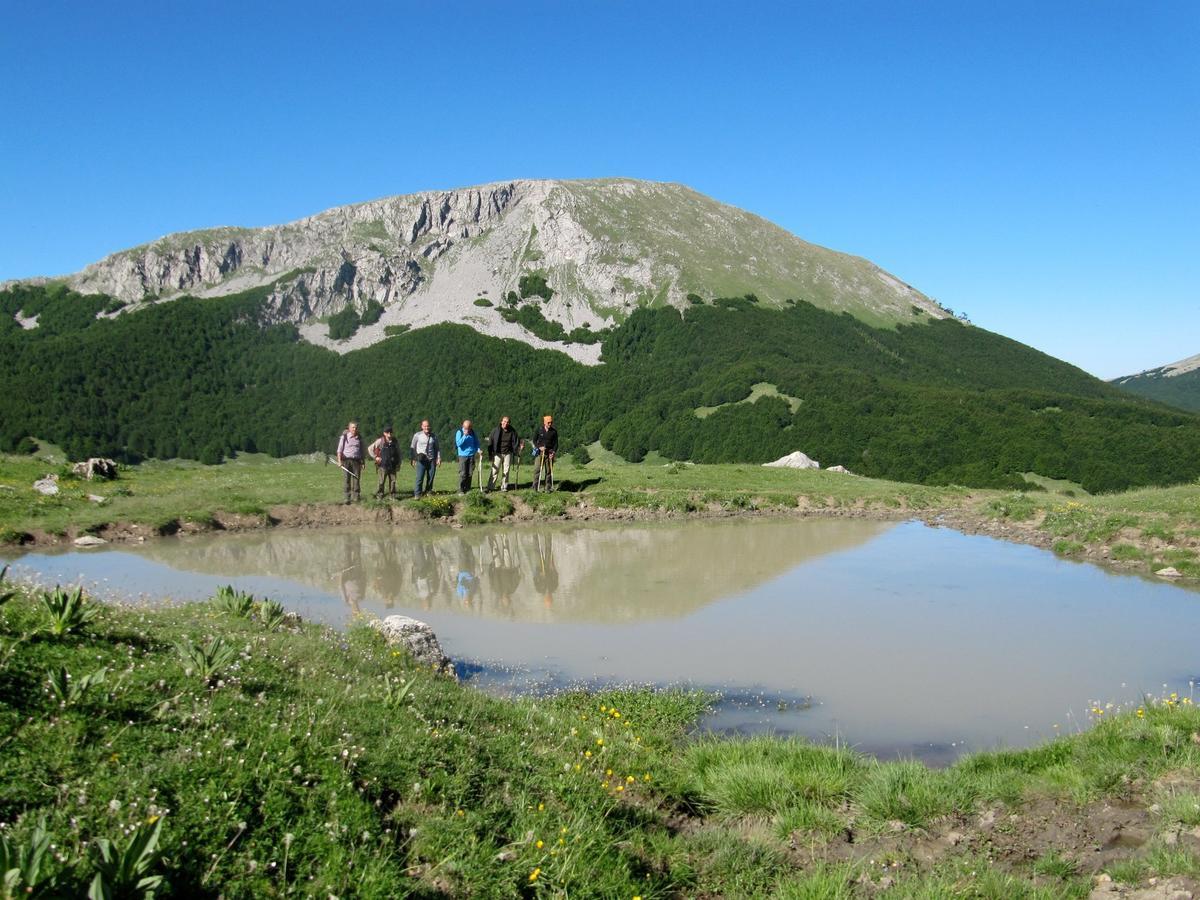 B&B Sole Del Pollino โรตอนดา ภายนอก รูปภาพ