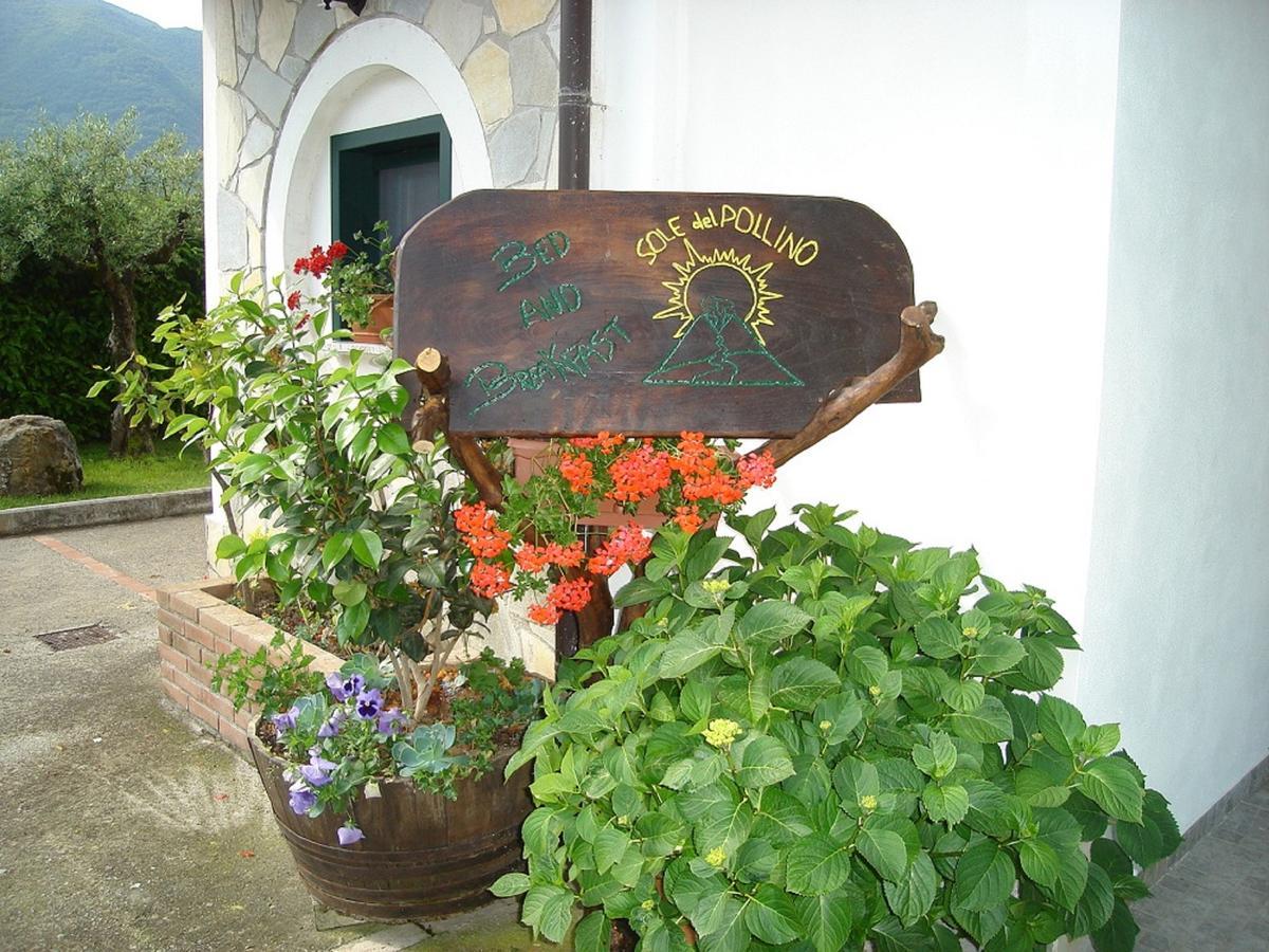 B&B Sole Del Pollino โรตอนดา ภายนอก รูปภาพ