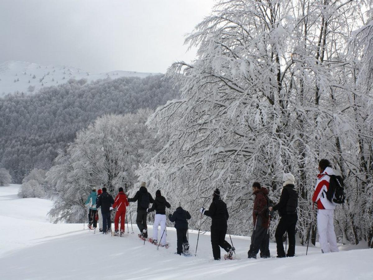 B&B Sole Del Pollino โรตอนดา ภายนอก รูปภาพ